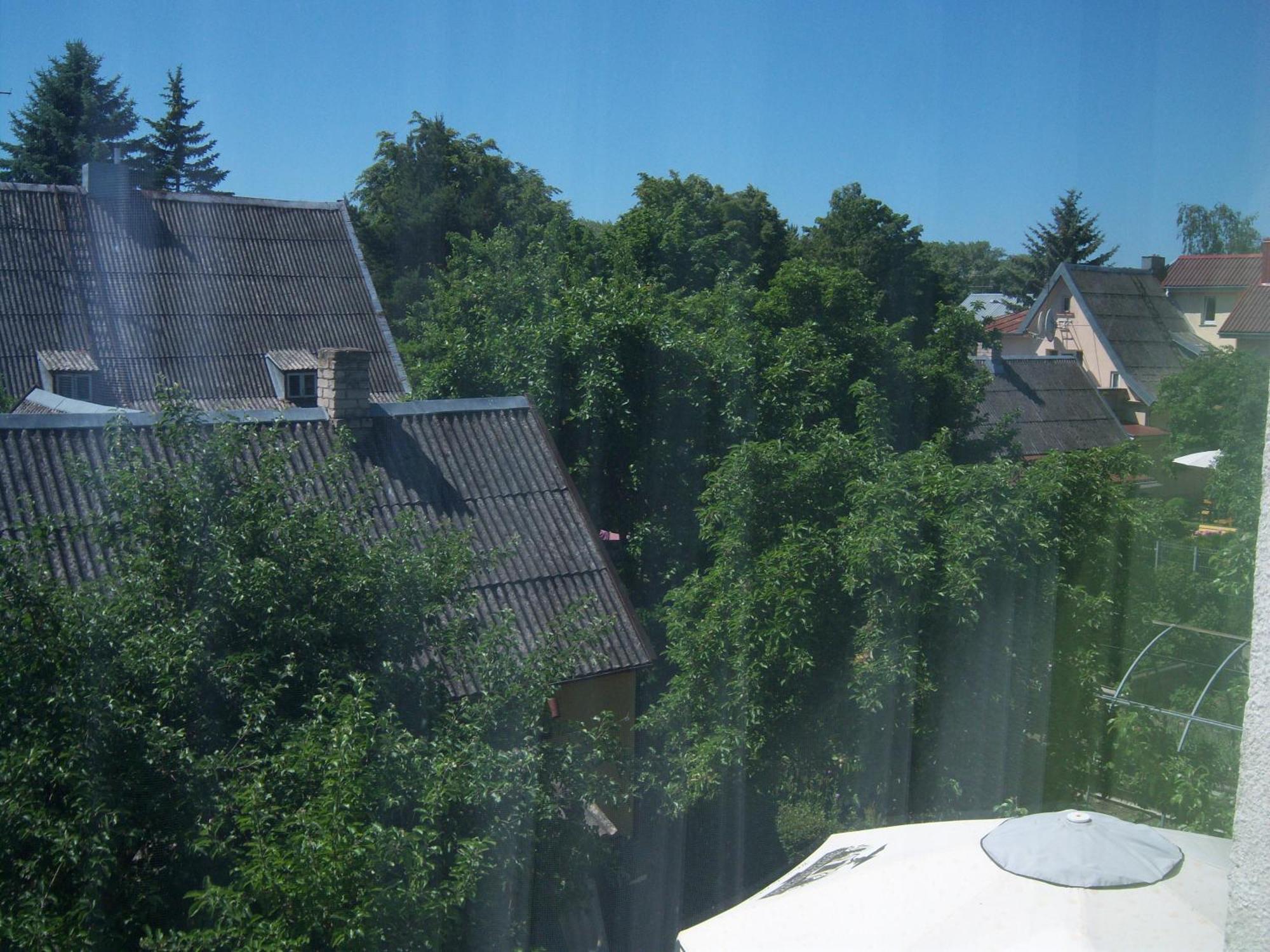 Info Hotel Apartments Palanga Exterior photo